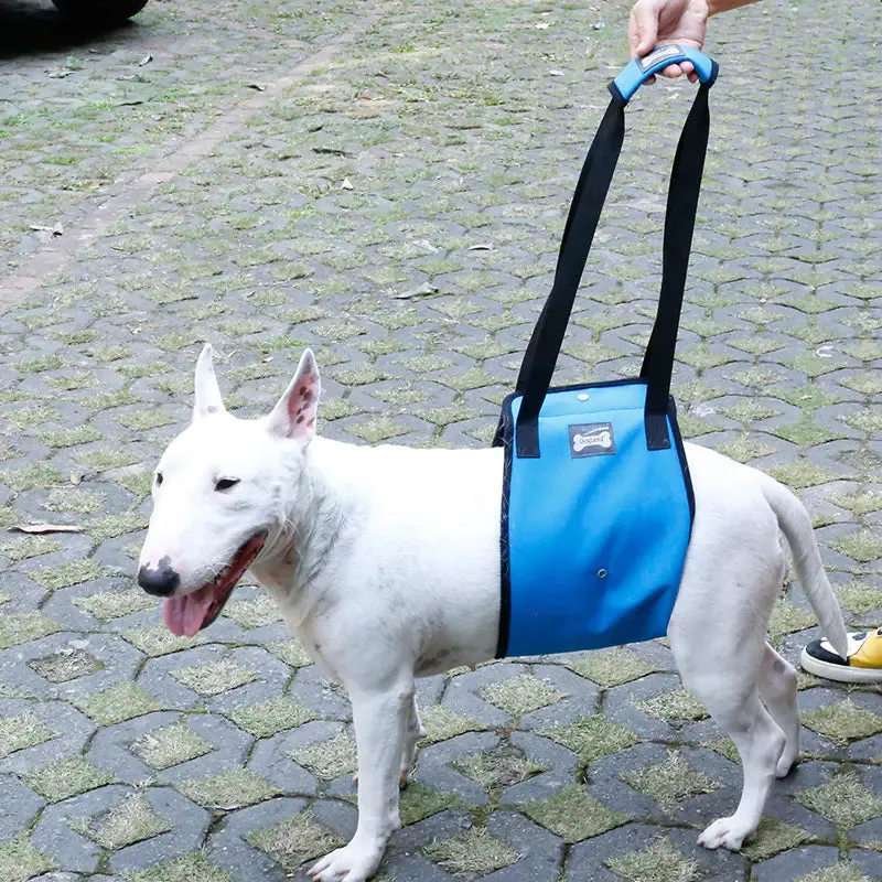 Dog Leg Injury Protection Walking Belt for Pets