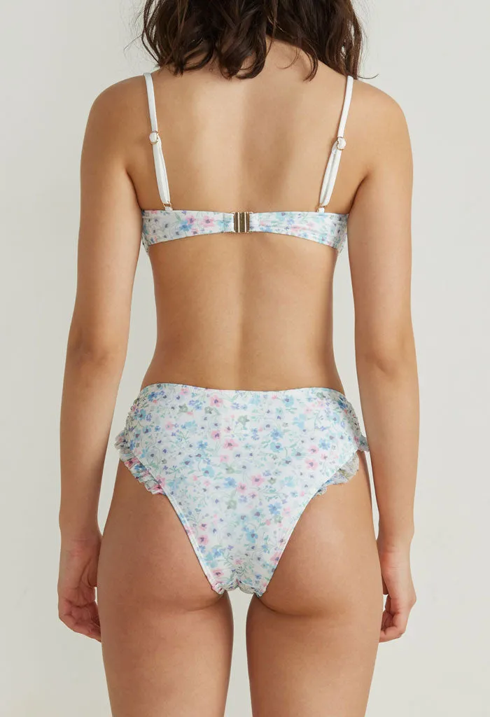 Rubicon Brief